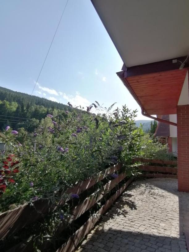 Apartament Boho Dom Stronie Slaskie Kletno Extérieur photo